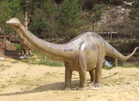 Foto: Apatosaurus