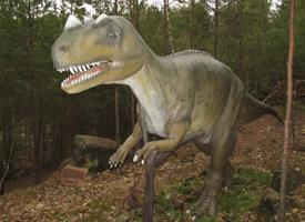 Foto: Ceratosaurus