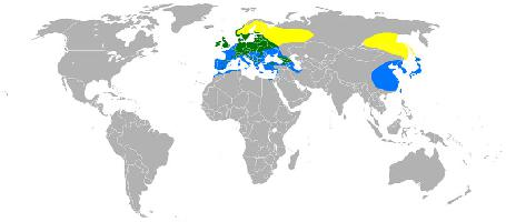 Foto: Eurasian siskin - výskyt